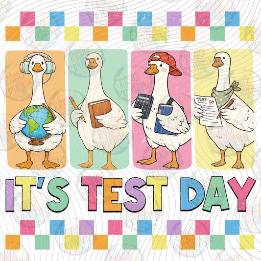 TSDG 9 - ITS TEST DAY GEESE