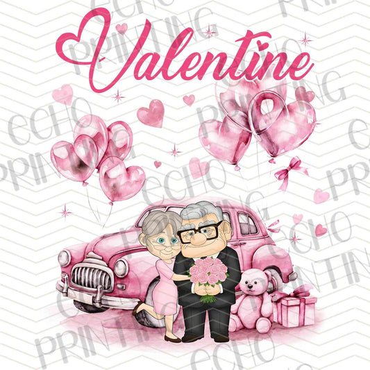 VLTC 194 - ELDER COUPLE VALENTINE CAR SCENE