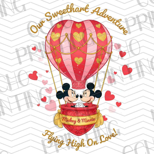 VLTC 48 – HOT AIR BALLOON COUPLE ADVENTURE