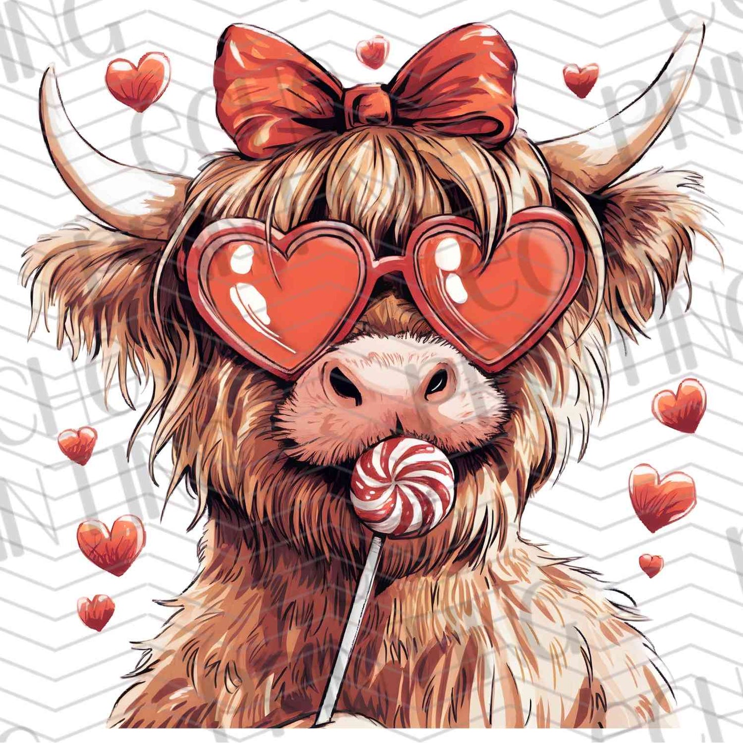 VLTG 241 - VALENTINE'S HIGHLAND COW