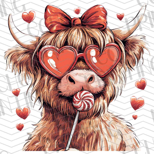VLTG 241 - VALENTINE'S HIGHLAND COW
