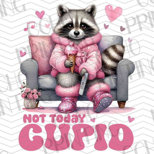 VLTG 5 - CUTE RACCOON NOT TODAY CUPID