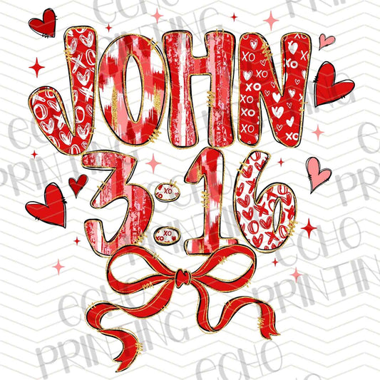 VLTG 767 - JOHN THREE SIXTEEN TEXT
