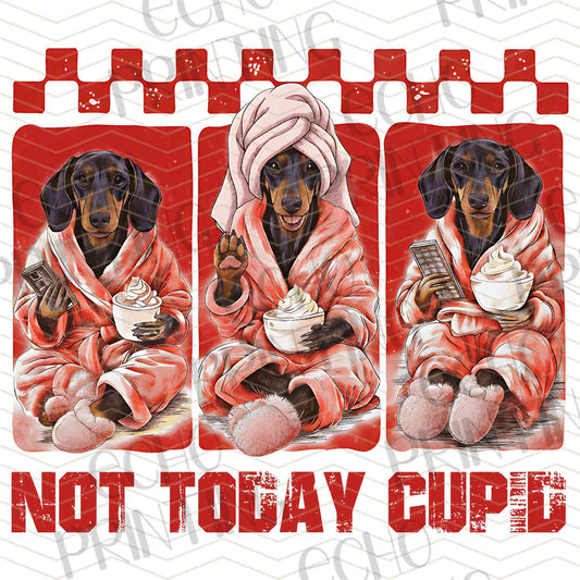 VLTG 803 - NOT TODAY CUPID