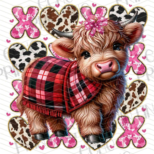 VLTG 879 – CUTE HIGHLAND COW