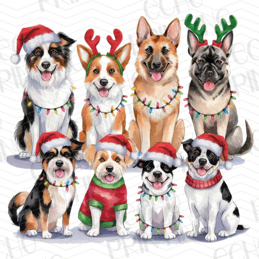 WNXM 113 – HOLIDAY DOG CREW IN COSTUMES