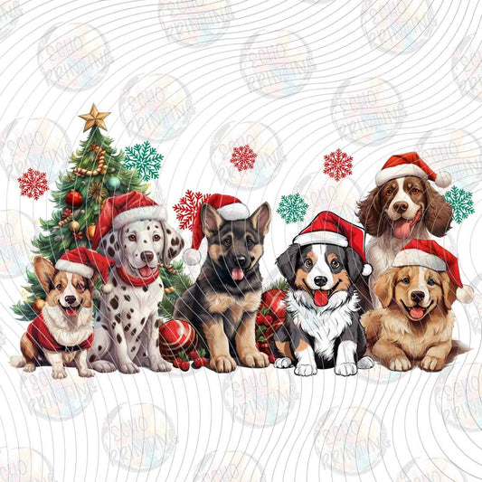 WNXM 3097 - CHRISTMAS DOG CREW