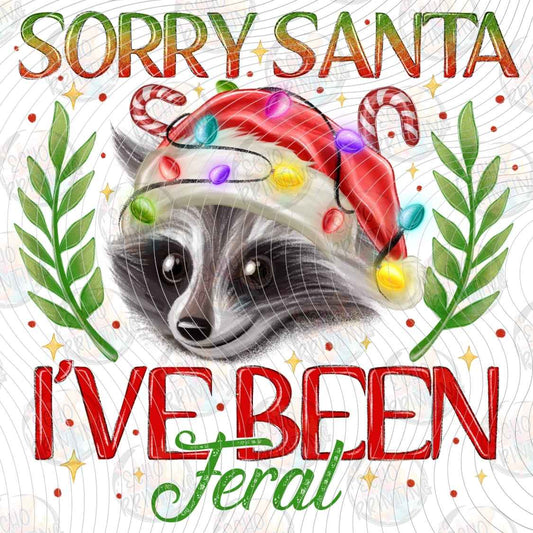 WNXM 3449 - SORRY SANTA IVE BEEN FERAL