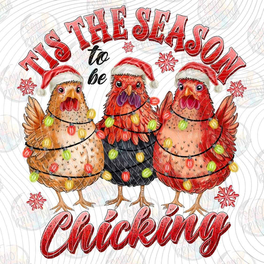 WNXM 3493 - TIS THE SEASON CHICKENS