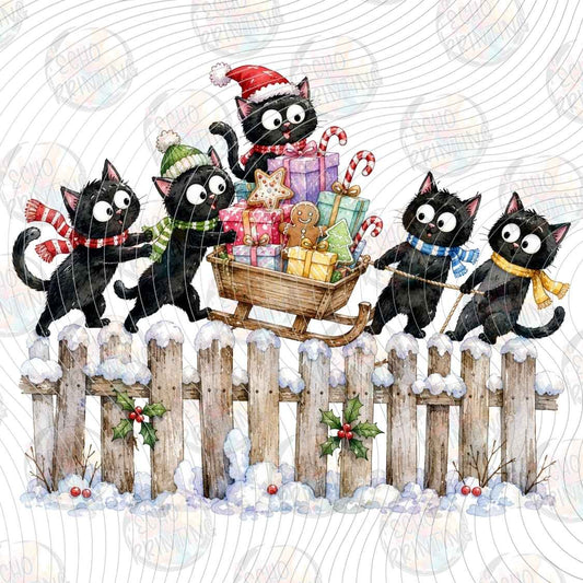 WNXM 3590 - BLACK CAT CHRISTMAS PARTY