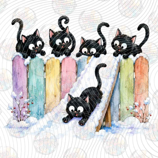 WNXM 3593 - BLACK CAT CANDY CANE ROW