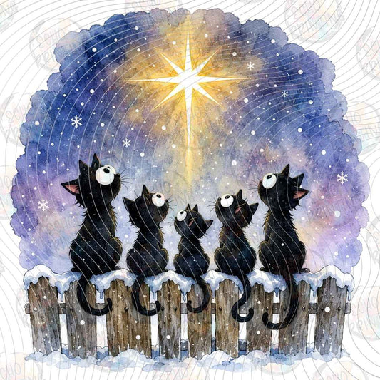 WNXM 3595 - CHRISTMAS STAR BLACK CATS
