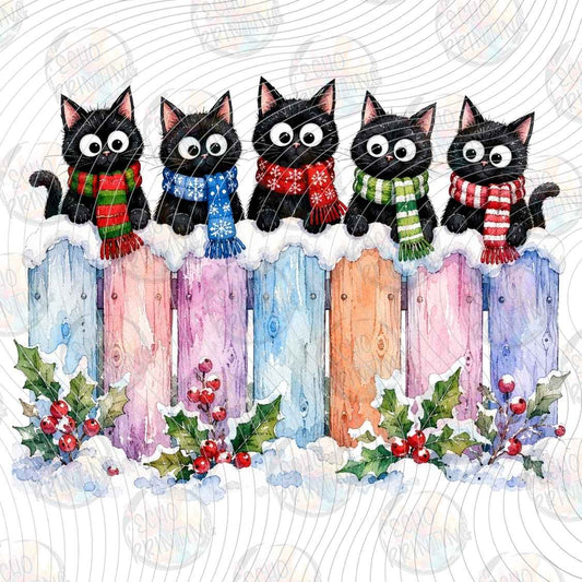 WNXM 3597 - BLACK CAT WINTER FENCE