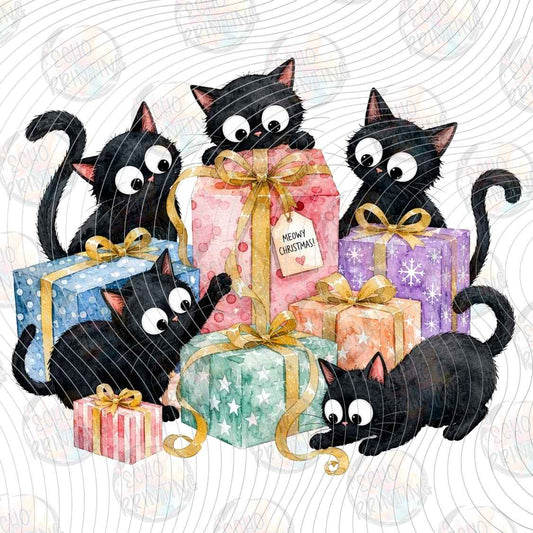 WNXM 3602 - BLACK CAT GIFT PILE