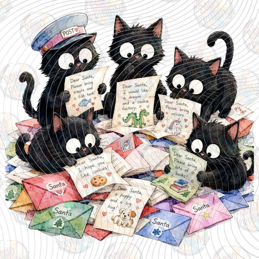 WNXM 3604 - BLACK CAT LETTER WRITING