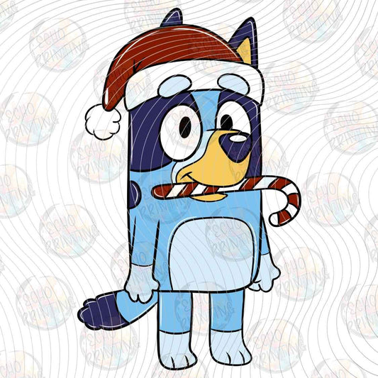 WNXM 3694 - WINTER PUP IN SCARF
