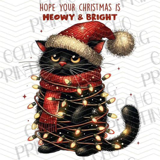 WNXM 382 – HOPE YOUR CHRISTMAS IS MEOWY & BRIGHT