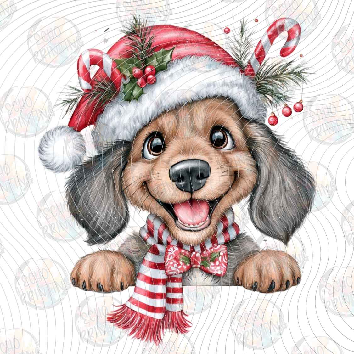 WNXM 3909 - CHRISTMAS PUP PORTRAIT
