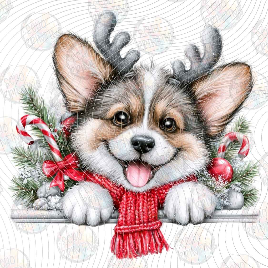 WNXM 3923 - REINDEER CORGI PORTRAIT