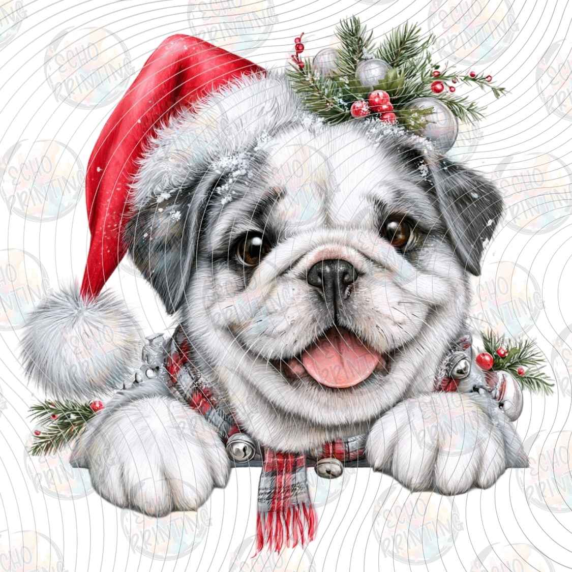 WNXM 3933 - WINTER FRENCHIE PORTRAIT