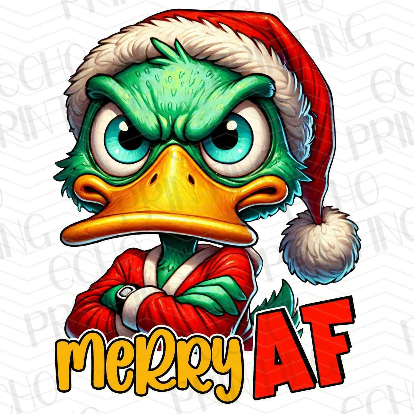 WNXM 4 – GRUMPY DUCK IN SANTA HAT WITH FUNNY TEXT