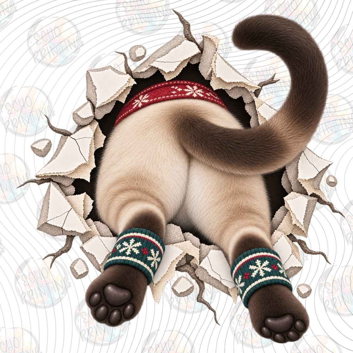 WNXM 4062 - COZY SIAMESE CAT