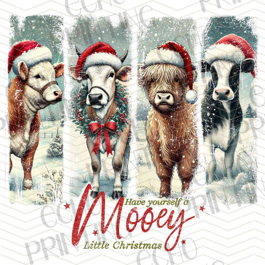 WNXM 413 - MOOEY CHRISTMAS HIGHLAND COW