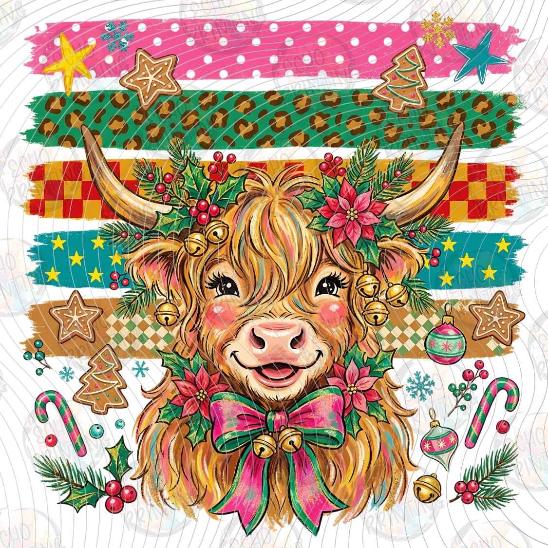 WNXM 4241 - COLORFUL HIGHLAND COW