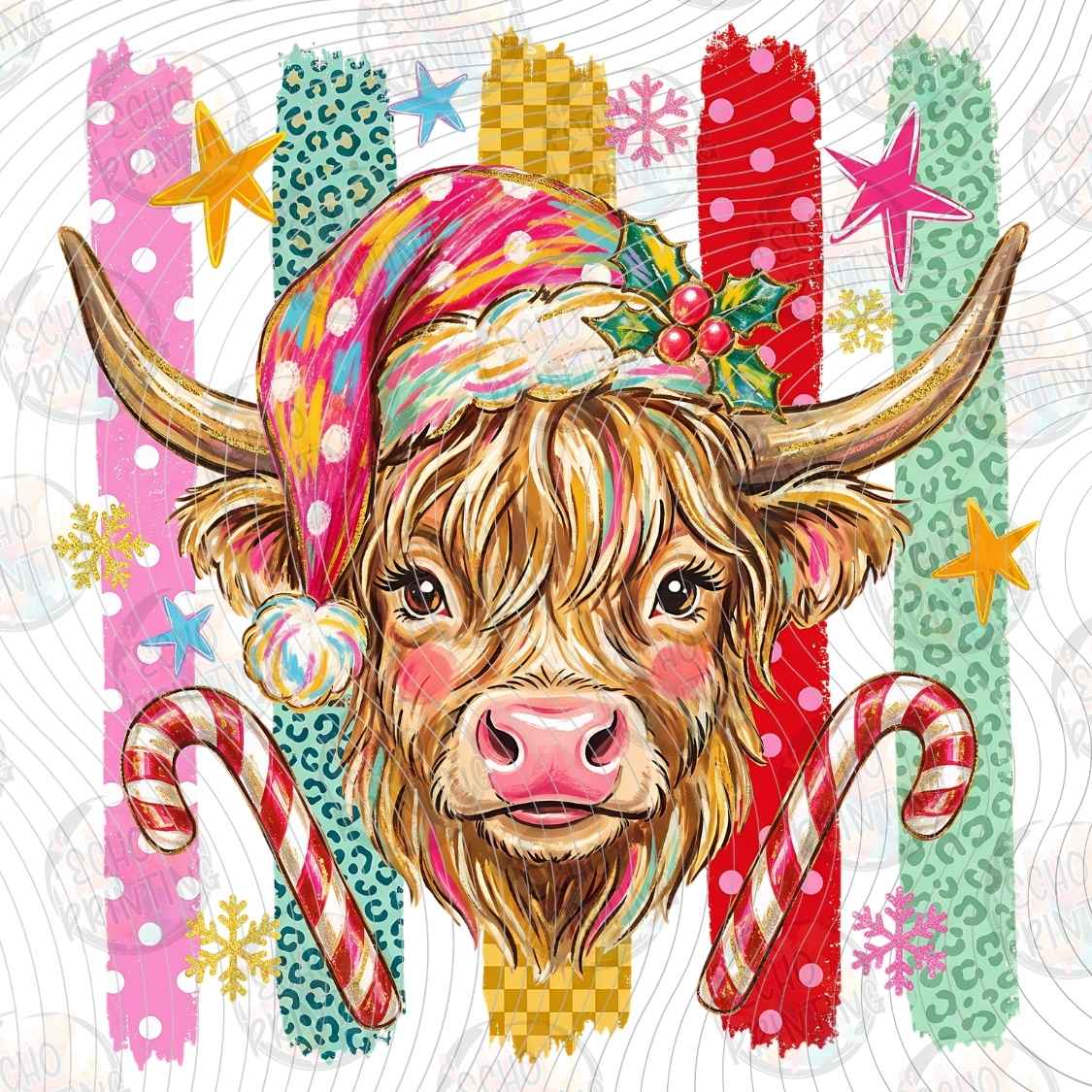 WNXM 4265 - PINK HIGHLAND COW