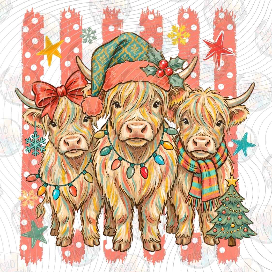 WNXM 4271 - HIGHLAND COW FAMILY
