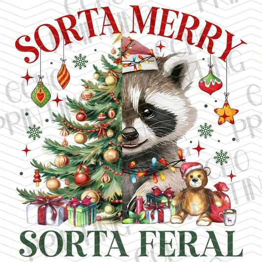 WNXM 472 - SORTA MERRY SORTA FERAL CHRISTMAS RACCOON