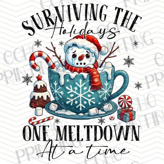 WNXM 529 – SURVIVING ONE MELTDOWN AT A TIME