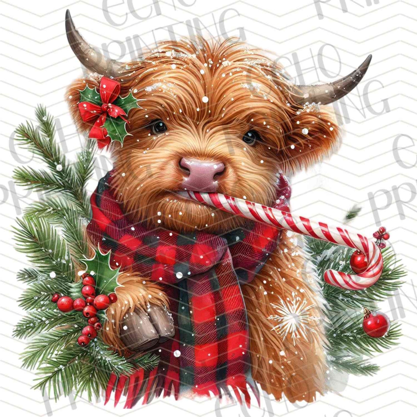 WNXM 629 - HIGHLAND COW CHRISTMAS
