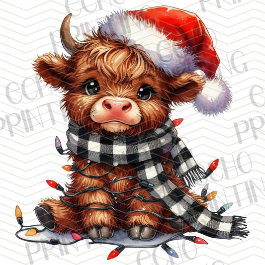 WNXM 685 – CHRISTMAS HIGHLAND COW