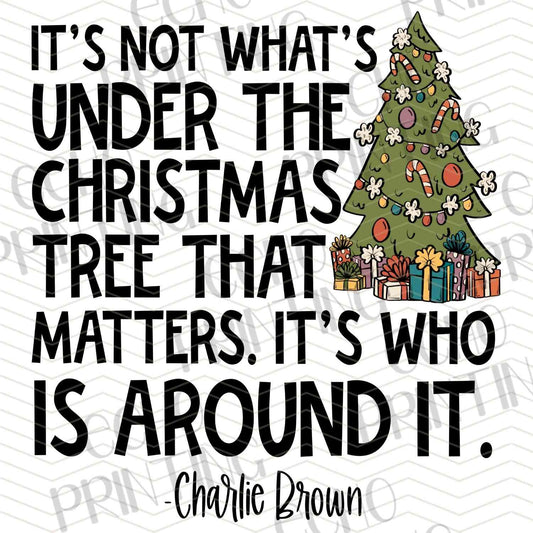 WNXM 840 – CHRISTMAS TREE FAMILY