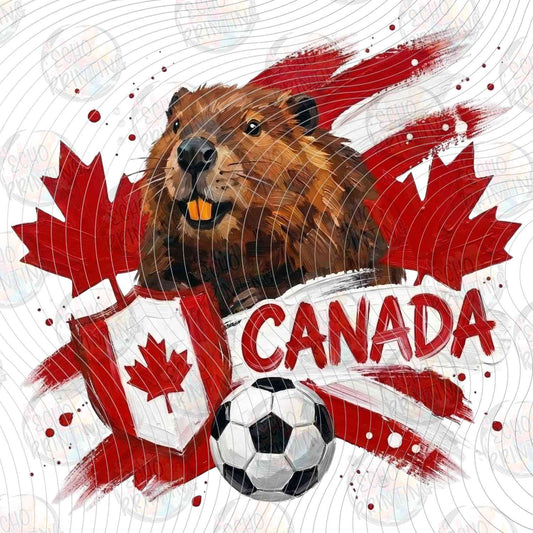 WRLCP 121 - CANADA BEAVER SOCCER WORLD CUP 2026
