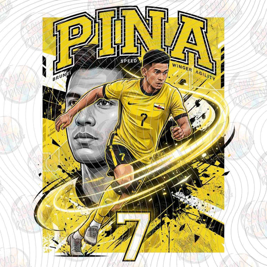 WRLCP 252 - PINAL PANAMA SOCCER STAR