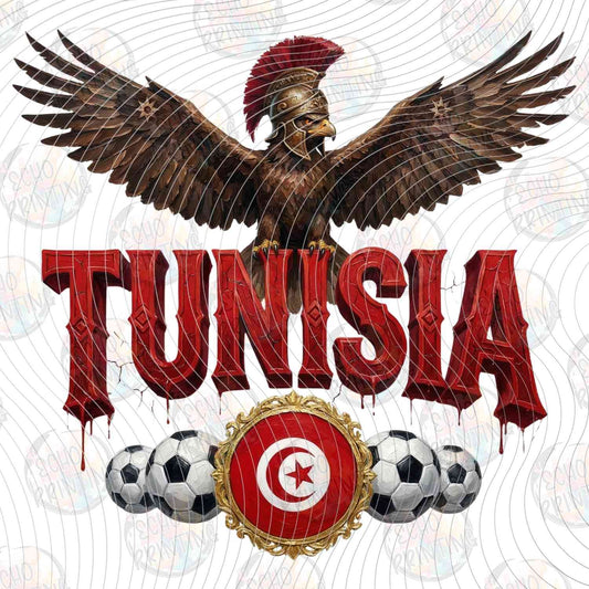 WRLCP 61 - TUNISIA EAGLE SOCCER WORLD CUP 2026