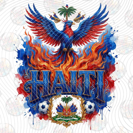 WRLCP 64 - HAITI PHOENIX SOCCER WORLD CUP 2026