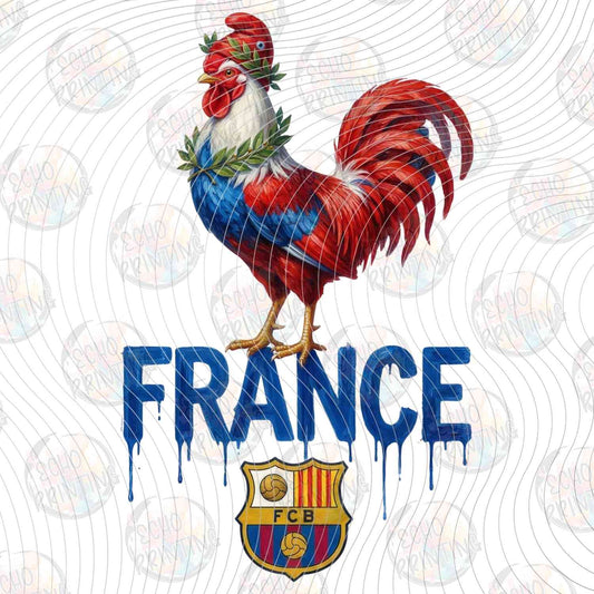 WRLCP 66 - FRANCE ROOSTER SOCCER WORLD CUP 2026