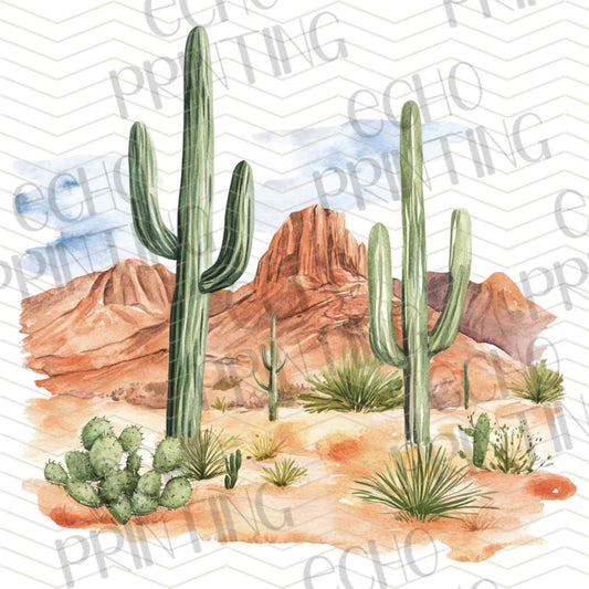 WSTNG 175 - DESERT CACTUS MESA