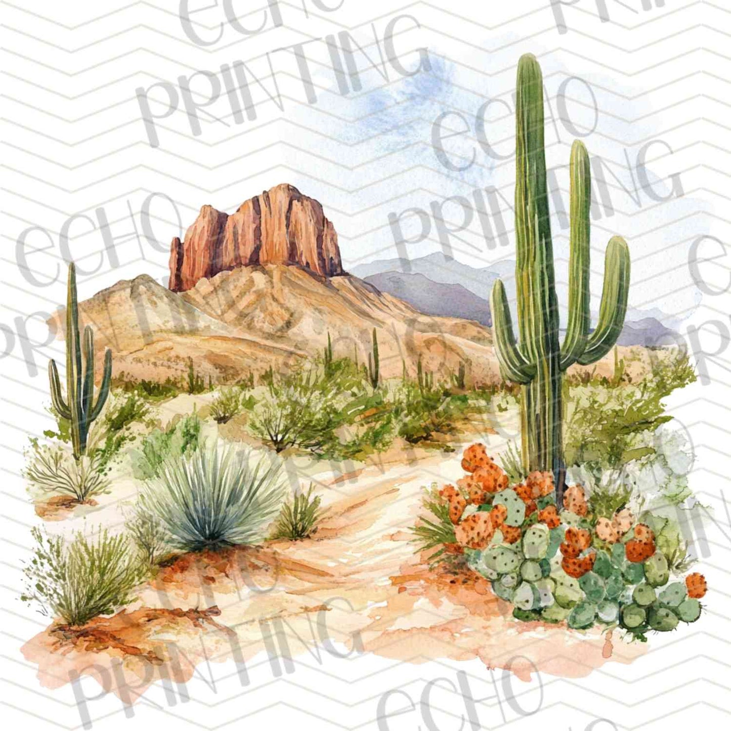WSTNG 203 - DESERT CACTUS VIEW