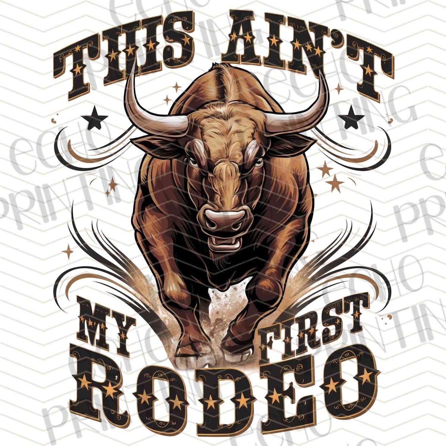 WSTNG 205 - FIRST RODEO BULL