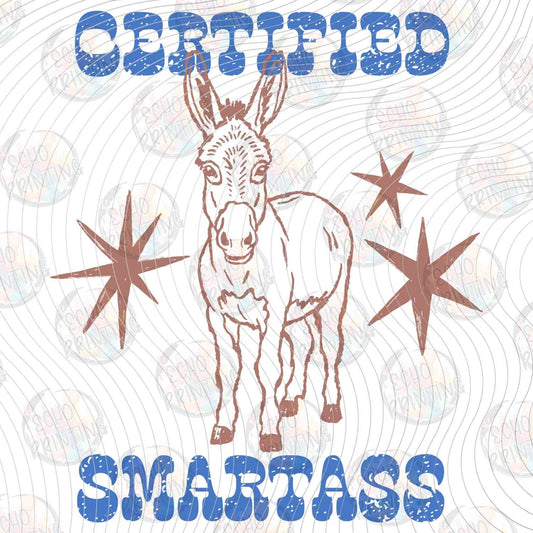 WSTNG 245 - CERTIFIED SMARTASS DONKEY