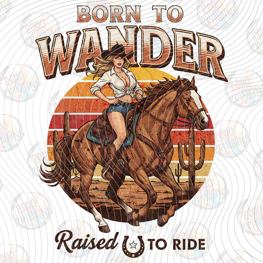 WSTNG 310 - BORN WANDER
