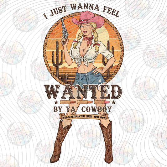 WSTNG 313 - WANTED