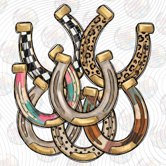 WSTNG 342 - HORSESHOE