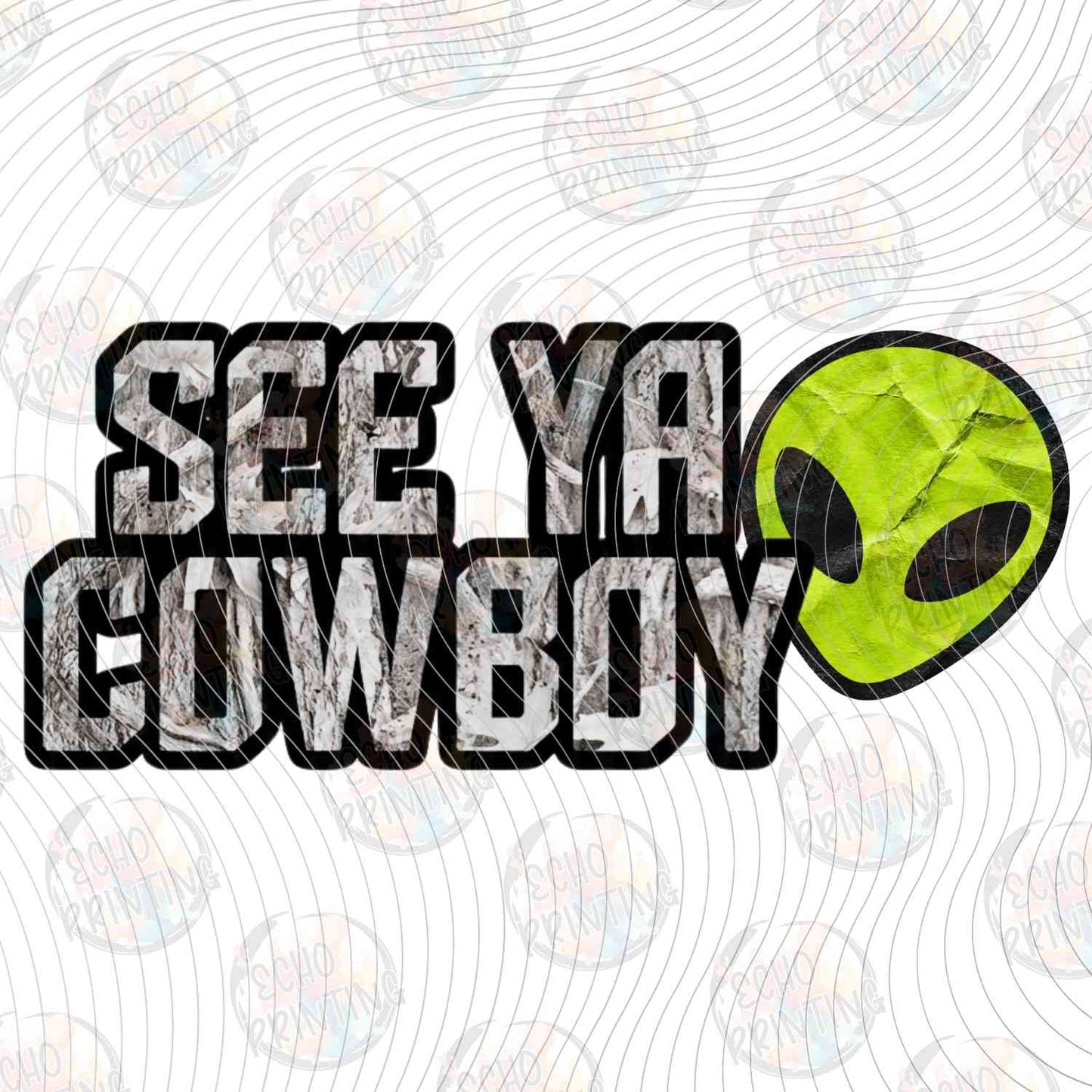 WSTNG 353 - COWBOY ALIEN