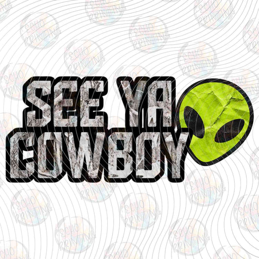 WSTNG 353 - COWBOY ALIEN