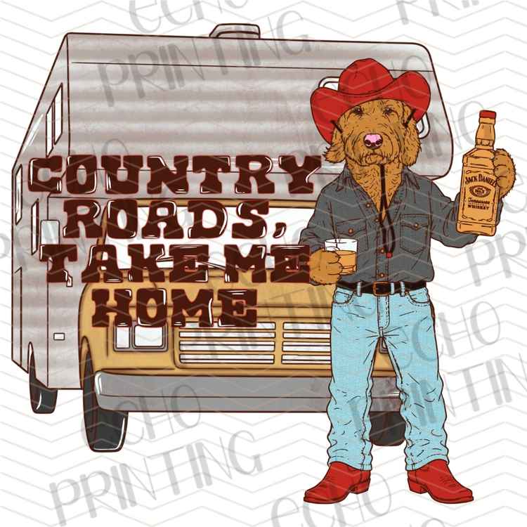 WSTNG 411 - COUNTRY ROADS TAKE ME HOME
